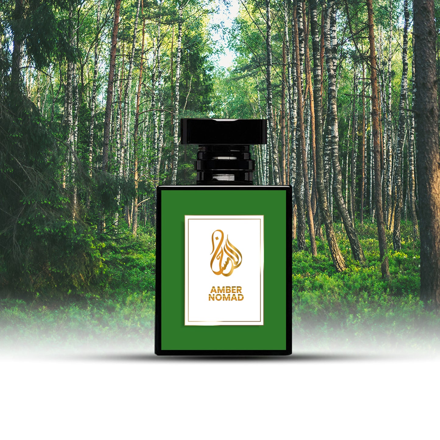 Amber Nomad – The Spirit of Adventure